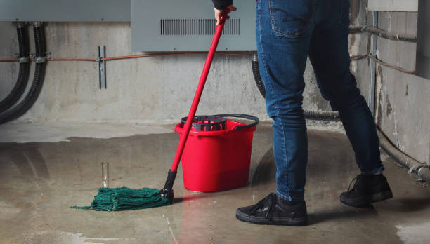 Best Water damage restoration near me  in Houston, TX