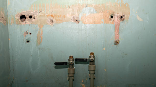 Best Water damage mitigation services  in Houston, TX