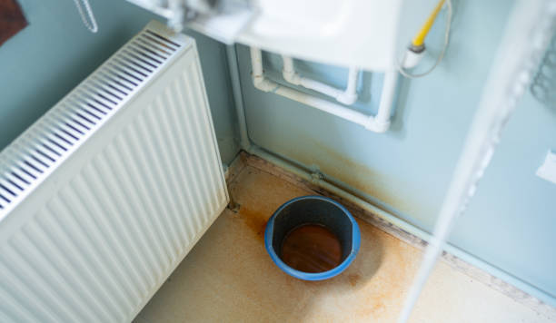 Best Ceiling water damage repair  in Houston, TX