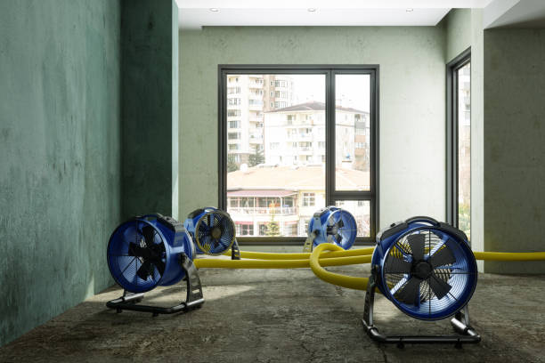 Best Emergency water extraction  in Houston, TX